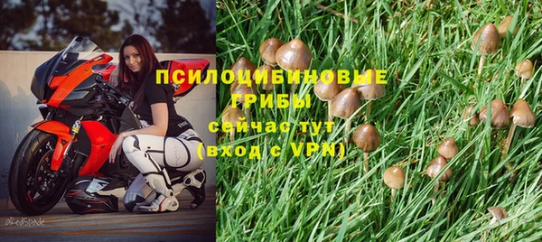jwh Елизово