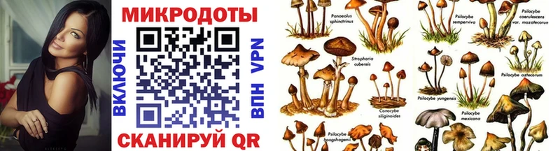 Галлюциногенные грибы GOLDEN TEACHER  MEGA зеркало  Нальчик 